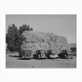 Haystack And Automobile Of Peach Pickers, Delta County, Colorado By Russell Lee Canvas Print