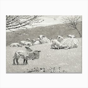 Spring Lamb (1880), Winslow Homer Canvas Print
