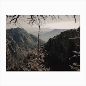 Arizona Mountain Views Canvas Print