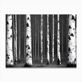 Birch Trees 48 Canvas Print