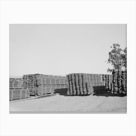 Salinas, California, Stacks Of Duckboards For The Guayule Nursery By Russell Lee Canvas Print