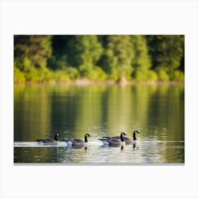 Canadian Geese 12 Canvas Print