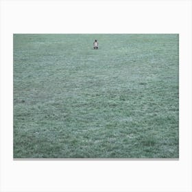 Minimalist Alone in Nature Concept in Richmond Park Canvas Print