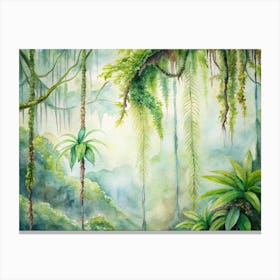 9 Rainforest Epiphytes Clinging To Tall Branches Canvas Print