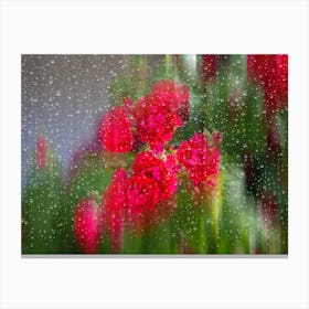 Raindrops On A Window Canvas Print