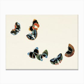 Japanese Woodblock Butterfly, Cho Senshu Canvas Print