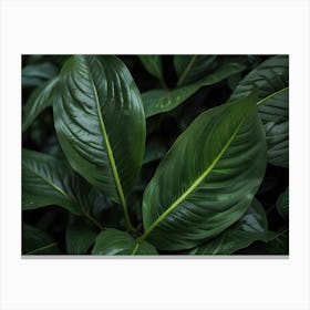 Close Up Of Green Leaves 1 Canvas Print