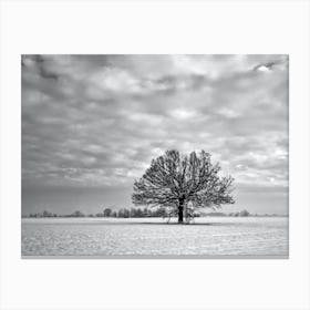 Lone Tree In The Snow 1 Canvas Print