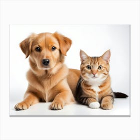 Dog And Cat 07 Canvas Print