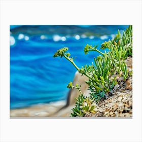 Serene Seascape Escape. The image depicts a tranquil coastal scene featuring a small, lush island surrounded by clear blue waters. Several boats are anchored nearby, and a person is seen riding a jet ski, leaving a trail of white foam behind. The sky is clear, enhancing the vibrant blue hues of the sea and sky, creating a picturesque and serene atmosphere. 1 Canvas Print