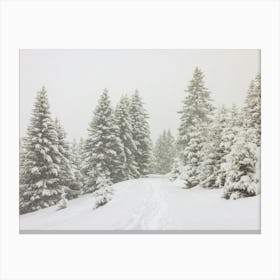 Retro Snowy Forest | Austria  Canvas Print