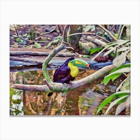 Vibrant Toucan in the Rainforest. A colorful toucan rests gracefully on a branch amidst a lush rainforest setting. Its vivid yellow chest and bright green beak contrast beautifully with the soft reflections in the water below, capturing the vibrant essence of tropical wildlife. Canvas Print