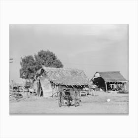 Edinburg (Vicinity), Texas, Farmstead Of A Small Mexican Farmer By Russell Lee Canvas Print