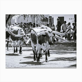 Downtown Fort Worth Texas - Cattle Drive Canvas Print