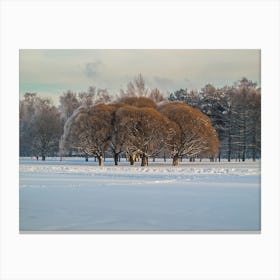 Trees In The Snow Canvas Print