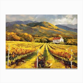 Vineyard Field 1 Canvas Print