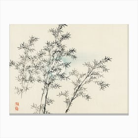 Bamboo Tree Canvas Print