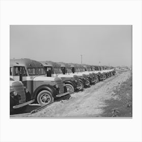 Line Up Of Buses Used To Transport Workmen To The Construction Work At The Naval Air Training Base, Corpus Christi, Canvas Print