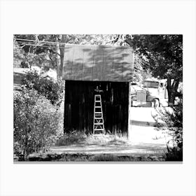 Shed Ladder BW Canvas Print