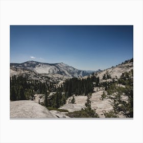Yosemite National Park 1 Canvas Print
