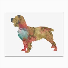 Watercolor Boykin Spaniel Dog 1 Canvas Print