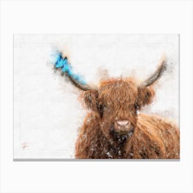 Highland Cattle And Butterfly Canvas Print