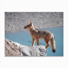 Fox At Alpine Lake Canvas Print