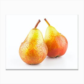 Two Pears On A White Background 1 Canvas Print