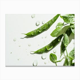 Green Peas 2 Canvas Print