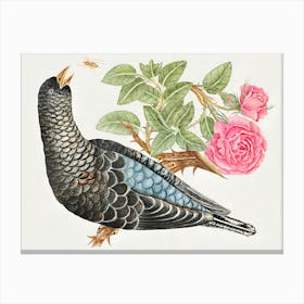 Bird With Roses Canvas Print