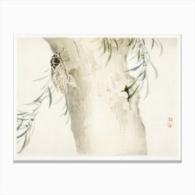 Insect, Kōno Bairei Canvas Print