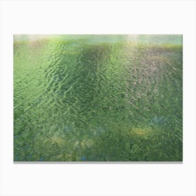 Reflection of green trees in the lake 2 Canvas Print