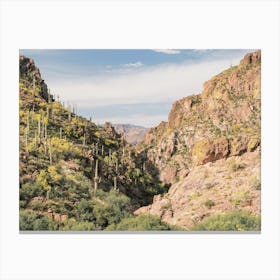 Warm Arizona Desert Scenery Canvas Print