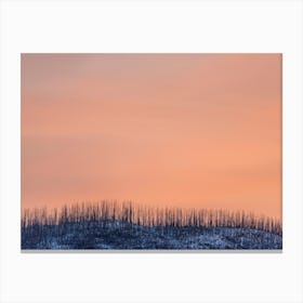 Pastel Sunrise Over Howe Ridge Montana Canvas Print