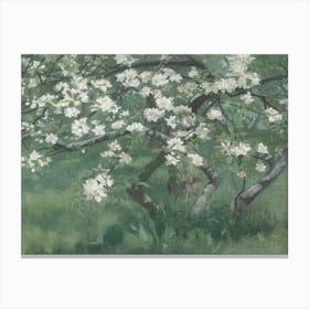 Blossoming Apple Tree 1 Canvas Print