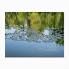 Water lilies and reflection of the treetops in a pond Canvas Print