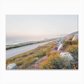 Beach Highway Wildflowers Canvas Print