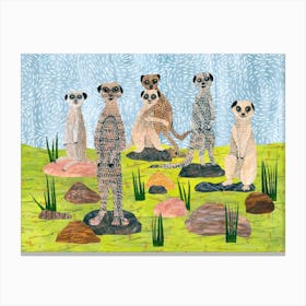 Meet The Meerkats Canvas Print