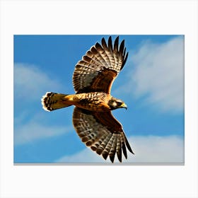 Eagle In Flight Canvas Print