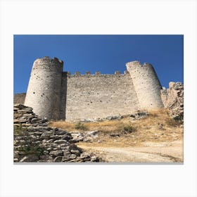 The castle Canvas Print