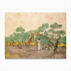 Van Gogh 84 Canvas Print