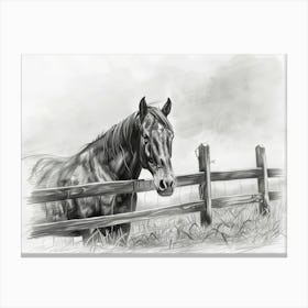 Horse In The Field Canvas Print