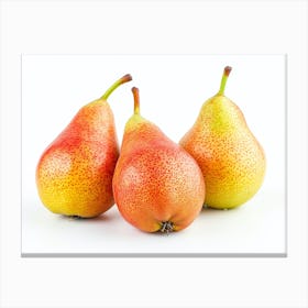 Three Pears Isolated On White 2 Canvas Print