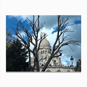 Montmartre Sacre Coeur And A Tree (Paris Series) Canvas Print