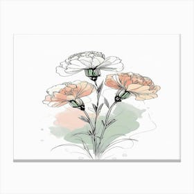 Carnations Canvas Print