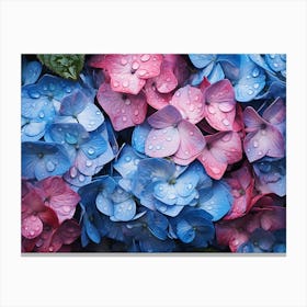 Hydrangeas 34 Canvas Print