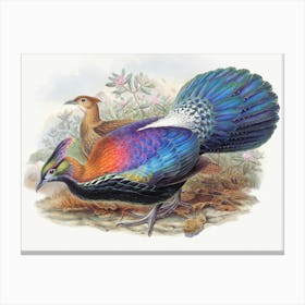 Vintage Pheasant Canvas Print