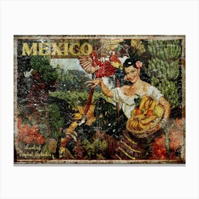 Vintage Travel Poster ? Mexico Travel Poster Canvas Print