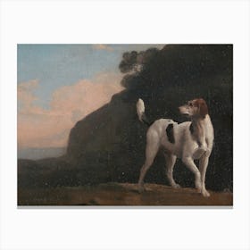 Foxhound, George Stubbs Canvas Print