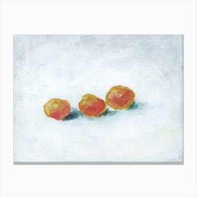 Three Apricots Painting Still Life Impressionism Food Kitchen Art Orange White Hand Painted Dining Fruit Canvas Print
